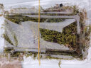 鱼七秒青苔藓鲜活苔藓微景观植物盆景盆栽水陆缸假山草造景材料白发藓短 大灰藓(15*8)cm 5盒 实拍图