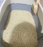 弗兰士 宠物松木猫砂 猫咪清洁除臭吸水快通用型10KG 原味豆腐猫砂10kg 实拍图