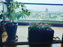冠乐家 花箱防腐实木花箱碳化木长方形花盆户外庭院种植箱工程松木花槽 长宽高(cm)：60*30*30 实拍图