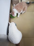 优趣无谷冻干多拼猫粮1.5kg幼猫成猫成年冻干猫粮（爱好者系列） (冻干爱好者)冻干双拼猫粮10kg 实拍图
