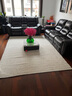优立地毯进口羊毛地毯客厅卧室茶几沙发地毯高级感 原生物01-200×280CM 实拍图