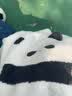 戴维贝拉（DAVE＆BELLA）雪尼尔半边绒儿童毛衣女童上衣宝宝衣服男童套头衫秋冬新款童装 黑白熊猫【现货】 130 cm（建议身高120-130cm） 实拍图