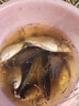 晚渔 海杆5付防缠绕钩大力马串钩钓鱼组串钩线组铅坠伊势尼鱼套装抛竿五个铃铛五个铅坠 伊势尼5付+铃铛5个+10克铅坠5个 6号伊势尼鱼钩 实拍图