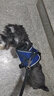 酷奇宠狗绳宠物狗狗牵引绳小型犬中型犬狗链狗绳子胸背带泰迪溜猫遛狗绳 藏青色 大号 建议10-14斤内 实拍图