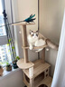 爱它美（AITAMEI） 魅宠 猫爬架猫窝猫树一体猫抓板大型太空舱通天柱猫架子猫咪别墅 梦幻喵仙堡MX-02(升级款) 实拍图