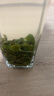 陕茶源2025年新茶陕西汉中绿茶西乡特炒明前炒青特级陕南陕青茶浓香耐泡 高档礼盒装 实拍图