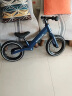 KinderKraft 德国KK平衡车儿童滑步车无脚踏单车自行车2岁小孩12寸 蓝色充气 晒单实拍图