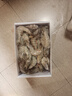 朵芙【当日发】虾 国产青岛大虾 青虾鲜虾海虾冰虾生鲜  虾类白虾 海捕大明虾 500g(净重)  *2盒 实拍图