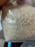 十月获2023新米恩施含硒大米家庭装食用晶硒米绿色稻田米长颗粒 500g 实拍图