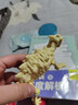 凯迪威新ZURU考古恐龙蛋爆裂小子三角龙霸王龙腕龙独角兽惊喜奇趣蛋玩具 乐波恐龙化石发现者 实拍图