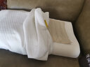九花  中药枕头助眠记忆棉零压护颈椎助睡眠枕菊花茶叶保健枕深睡枕头 白色棉枕套记忆棉低枕7cm 单只 44cm*22cm 400g药包 实拍图