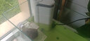 boxtech乌龟过滤器低水位免换水泵低噪净水小型家用龟缸抽粪器过滤循环机 乌龟过滤器加高层+棉 实拍图