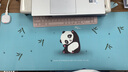 达尔优（dareu）800*330*1.8mm熊猫快速发热鼠标垫大号智能加热电脑键盘暖手书桌垫蓝绿色 实拍图