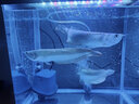 SOBO松宝鱼缸底吸泵配件管子水族箱潜水泵软管水管用品 1.5米4分管 实拍图