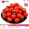 千朵云电白千禧圣女果小番茄正宗玲珑番茄甜千玺圣女果新鲜轻食水果 精选圣女果 带箱3斤 实拍图