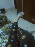 伦洛弗五指袜女士船袜低帮夏季薄款分趾袜棉浅口隐形袜子女袜彩色脚指袜 女条纹彩趾隐形袜混色5双装 均码35-40 实拍图