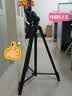耐思得（NEST）2米高 NT-593大型三脚架液压阻尼云台专业摄像机微电影视频直播录像支架通用佳能DV三角架 实拍图