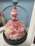西罗斯（SEEROSE）永生花丘比特熊保鲜玫瑰花束高级春节情人节生日礼物送女朋友老婆 丘比特熊-粉色 全国7仓发-不支持代写贺卡 实拍图