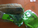 抱抱你 【大棒300g】头茬黄白玉米粘黏甜糯黑玉米棒营养代餐苞米玉米 【单根300g以上】白糯玉米10支装 实拍图