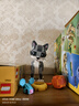 乐高（LEGO）积木拼装31163 顽皮小猫男孩女孩儿童玩具生日礼物 实拍图