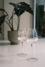 Xiangxing 英国LSA Pearl进口珍珠彩虹水晶玻璃红酒杯高脚香槟杯家用葡萄酒杯 英国LSA珍珠彩：325ML红酒杯2支（赠：彩盒） 晒单实拍图
