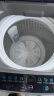 海尔（Haier）波轮洗衣机全自动 8公斤大容量 桶自洁不脏桶 立体蝶型水流 宿舍 租房神器 原厂品质EB80M30Mate1 实拍图