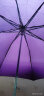 天堂 防风雨伞三折男女款商务晴雨伞57*8骨 307E深紫色 实拍图