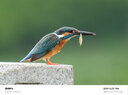 腾龙（Tamron）官方旗舰店90mm F/2.8全画幅微距定焦镜头 E卡口/Z卡口 人像微单镜头全画幅拍昆虫花草珠宝 牙医 尼康Z卡口 官方标配【送腾龙UV滤镜+64G卡+清洁套装】 实拍图