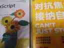 JavaScript悟道（图灵出品）大师力作图灵丛书作者权威编程人民邮电出版社 实拍图