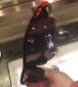 OAKLEY欧克利骑行眼镜护目镜墨镜RADARLOCK PATH跑步运动防风眼镜 9206 谱锐智公路-27 实拍图