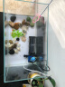 森森（SUNSUN） 鱼缸内置过滤器增氧泵三合一水泵乌龟缸水族箱过滤设备 5W四合一内置过滤器+替换棉 实拍图