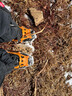 迈乐（Merrell）男款户外登山徒步鞋减震ALVERSTONE 2GTX防水防滑耐磨透气徒步 J036899黑色(男款) 40 实拍图