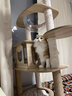 CHONLDERL猫爬架猫窝猫树一体大型太空舱猫架子四季通用剑麻猫咪玩具用品 【175CM 10层双太空舱】奥斯汀AST-1 实拍图