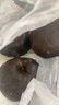 鲜姿 东北冻梨冻秋梨大黑梨冷冻水果大冻梨东北特产苹果梨 5斤特大果 实拍图
