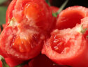 金百粟陕西泾阳普罗旺斯西红柿 生吃沙瓤西红柿番茄农家自种时令生鲜 活动推荐 4.5斤 普罗旺斯西红柿 实拍图