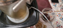 绿之素 肯尼亚AA++咖啡生豆原料 进口生咖啡豆500g家庭装新鲜 肯尼亚AA++ 实拍图