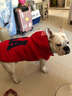 楚克奇（CHUKCHI）大狗衣服边牧金毛中大型犬冬装狗棉衣马犬马甲背心连帽两腿喜庆 红色 30号颈围55CM*胸围75CM*背长60CM 实拍图