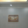 墨派餐厅装饰画现代简约饭厅横幅挂画轻奢饭厅背景墙厨房壁画免打孔 金羽招财 60*40cm【晶瓷】 实拍图