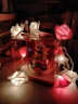 TaTanice 玫瑰灯串1.5米10灯 求婚表白布置彩灯装饰后备箱惊喜女神节装饰 实拍图