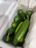 京鲜生山东奶油黄瓜净重1.8斤单果50g+ 小青瓜新鲜蔬菜源头直发 实拍图