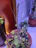 言清【买2棵送1棵】重瓣海棠花苗盆栽地栽盆景室内外花卉庭院阳台植物 红玉海棠 4年苗 实拍图