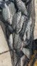 渔之源AK鱼护野钓专用鱼网兜渔护速干防挂加厚涂胶小型鱼护2.5米*31cm 晒单实拍图