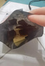 荷美尔（Hormel）轻享薄切牛肉干萨拉米肠金沙蛋黄香肠办公室休闲零食肉铺网红零食 黑椒青柠牛肉干35g*10包 实拍图