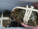 【活蟹】阳澄联合鲜活大闸蟹现货全母2.3-2.6两 12只生鲜螃蟹大只去绳足重海鲜礼盒 实拍图