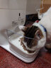 CATLINK自动喂食器猫咪定时定量智能宠物猫粮狗粮不卡冻干投喂器远程控制 喂食器标配版+无线智能饮水机 实拍图