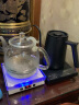 泰摩 鱼smart 温控手冲壶 家用控温电热水壶 细嘴手冲咖啡壶600ML 晒单实拍图