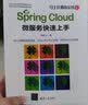 Spring Cloud 微服务快速上手 实拍图