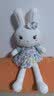 惠妮宝贝毛绒玩具小白兔兔子公仔布娃娃可爱女孩布偶小兔子玩偶生肖兔礼物 绿色 60厘米 实拍图