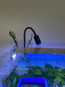 KAISER REEF凯撒射灯原生南美异形鼠鱼缸三湖水草龟缸LED 射灯夹灯观赏鱼缸灯 3500K暖白(3w定焦APP调光定时适合南美缸) 实拍图