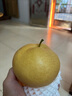 攸竹秋月梨山东莱阳羊脂秋月梨当季时令冰糖梨子新鲜水果礼盒 精选秋月梨【单果250g+】8斤超值装 实拍图